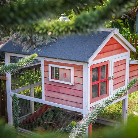 Ciao Ciao Couette-café 3*